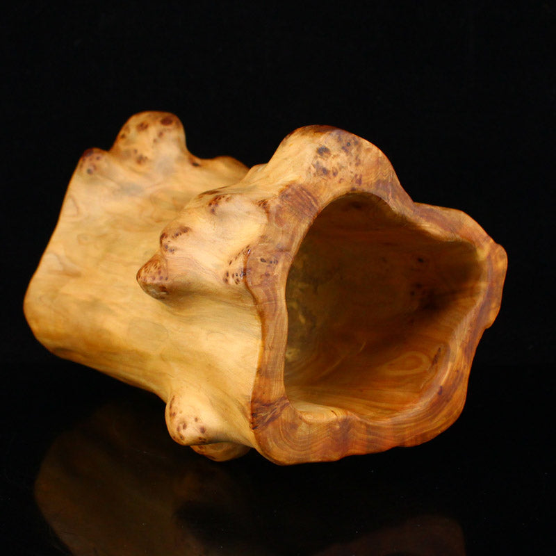 Thuja Sutchuenensis Wood Brush Pot