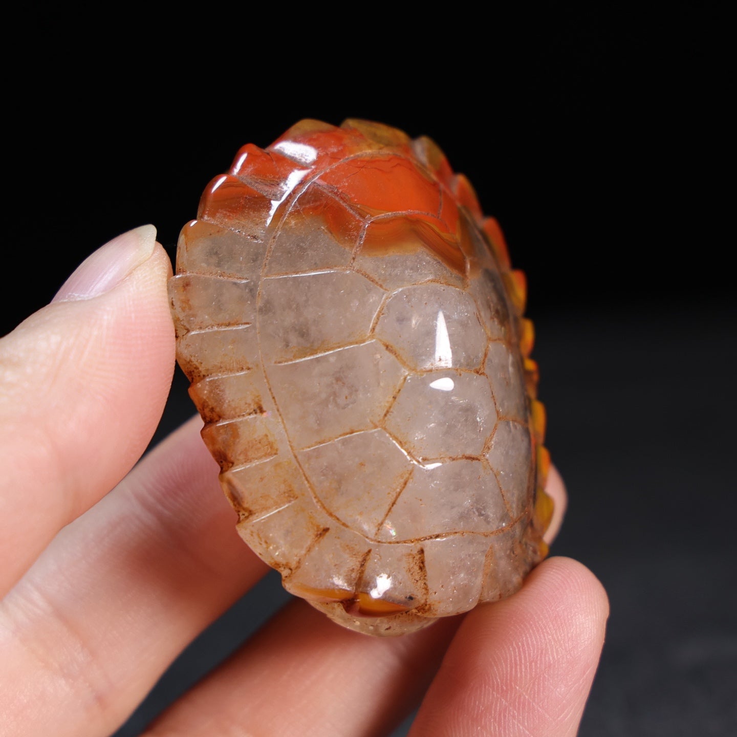 A1009 Vintage Chinese Zhan Guo Hong Agate Carved Turtle Shell Pendant