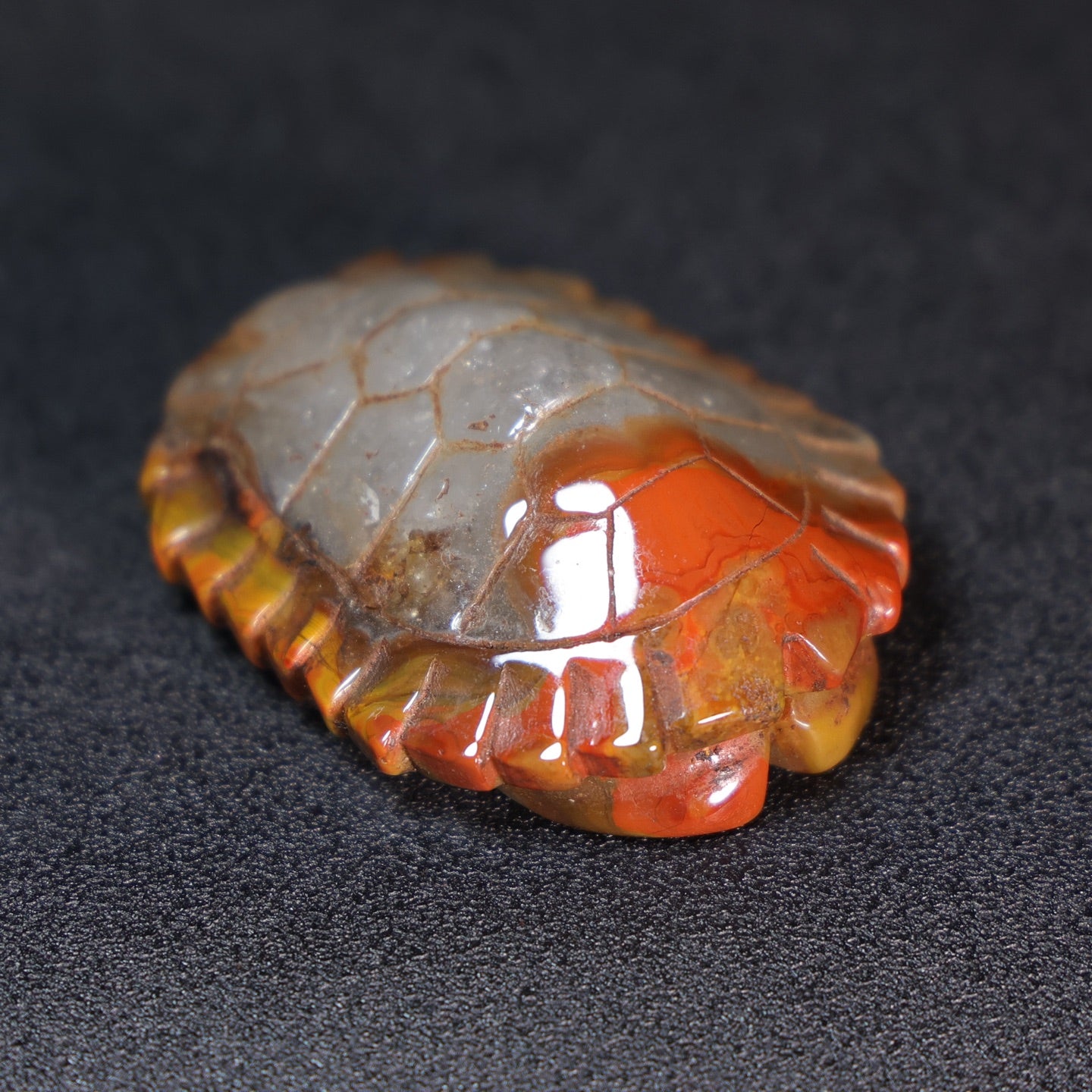 A1009 Vintage Chinese Zhan Guo Hong Agate Carved Turtle Shell Pendant
