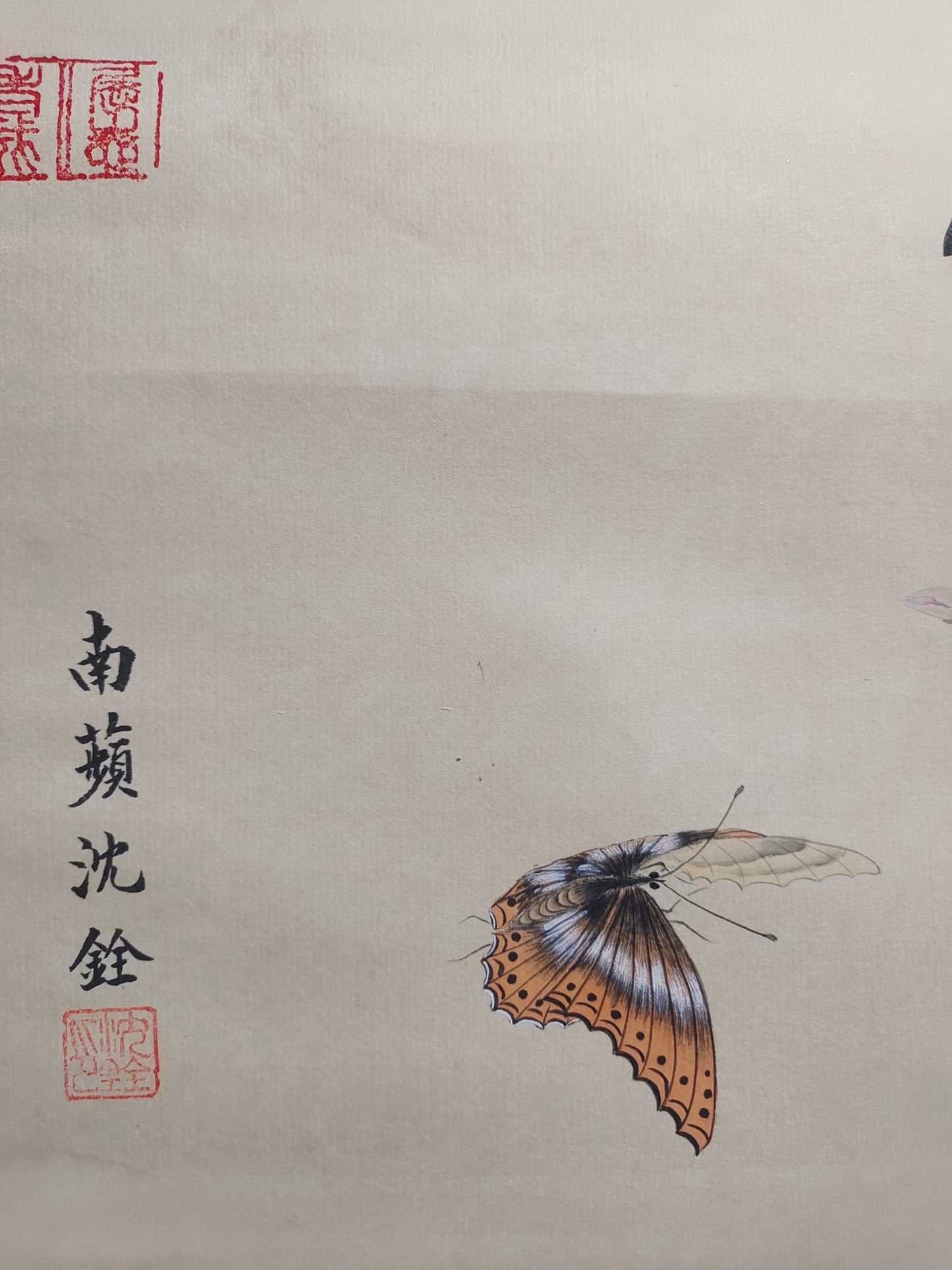 A1012 Chinese Watercolour On Silk Butterfly & Flower Design Calligraphy Painting - Shen Quan(1682—1760)