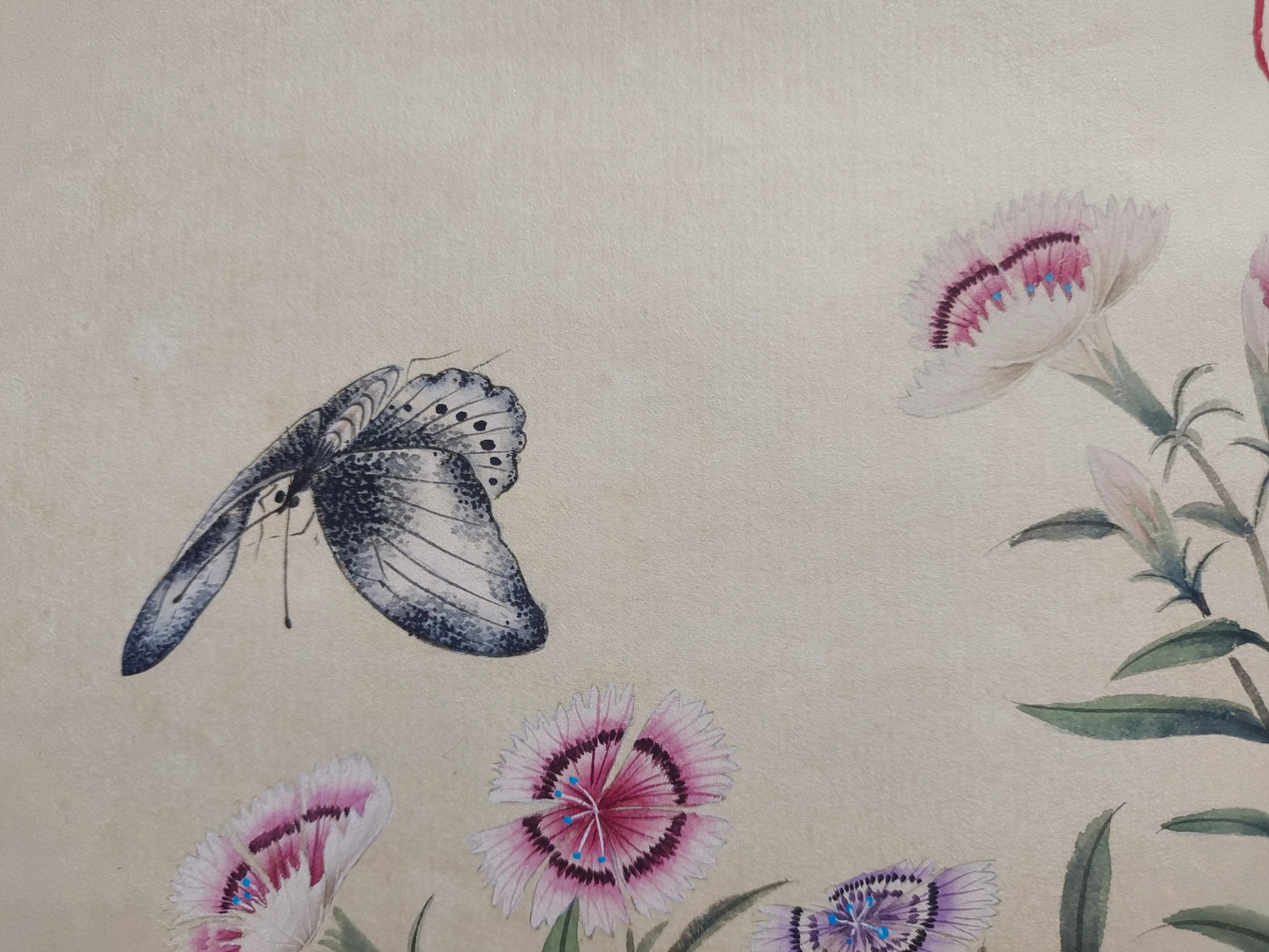 A1012 Chinese Watercolour On Silk Butterfly & Flower Design Calligraphy Painting - Shen Quan(1682—1760)