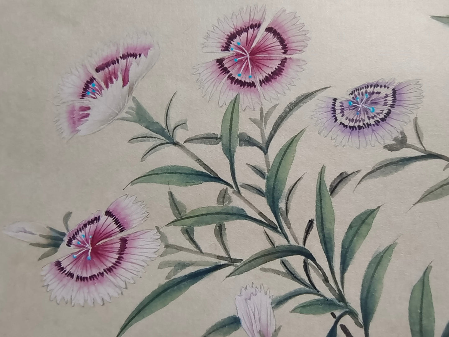 A1012 Chinese Watercolour On Silk Butterfly & Flower Design Calligraphy Painting - Shen Quan(1682—1760)