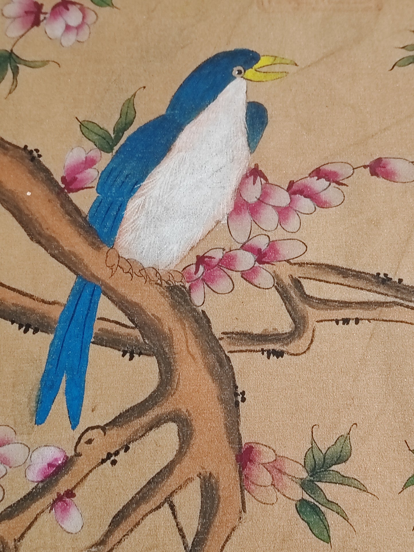 A2252 Chinese Watercolour On Silk Flowers Bird Design Painting - Ma Yuan