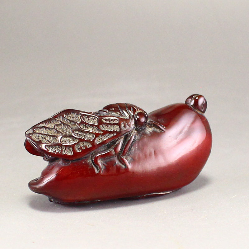 Chinese Ox Horn Carved Cicada Pendant