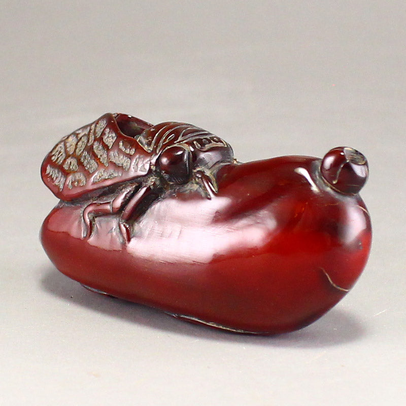 Chinese Ox Horn Carved Cicada Pendant