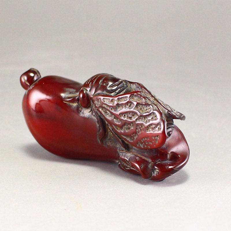 Chinese Ox Horn Carved Cicada Pendant