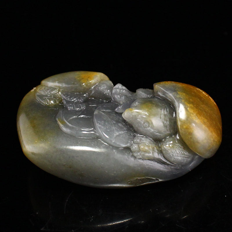 Natural Hetian Jade Carved Turtle Pendant