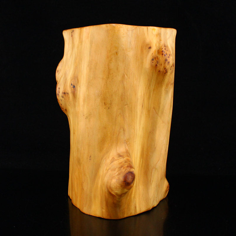 Thuja Sutchuenensis Wood Brush Pot