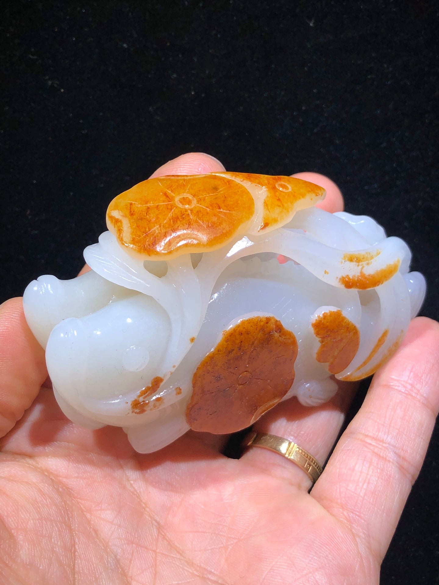 A0196 Superb Chinese Hetian Jade Carved Fish & Lotus Leaf Statue