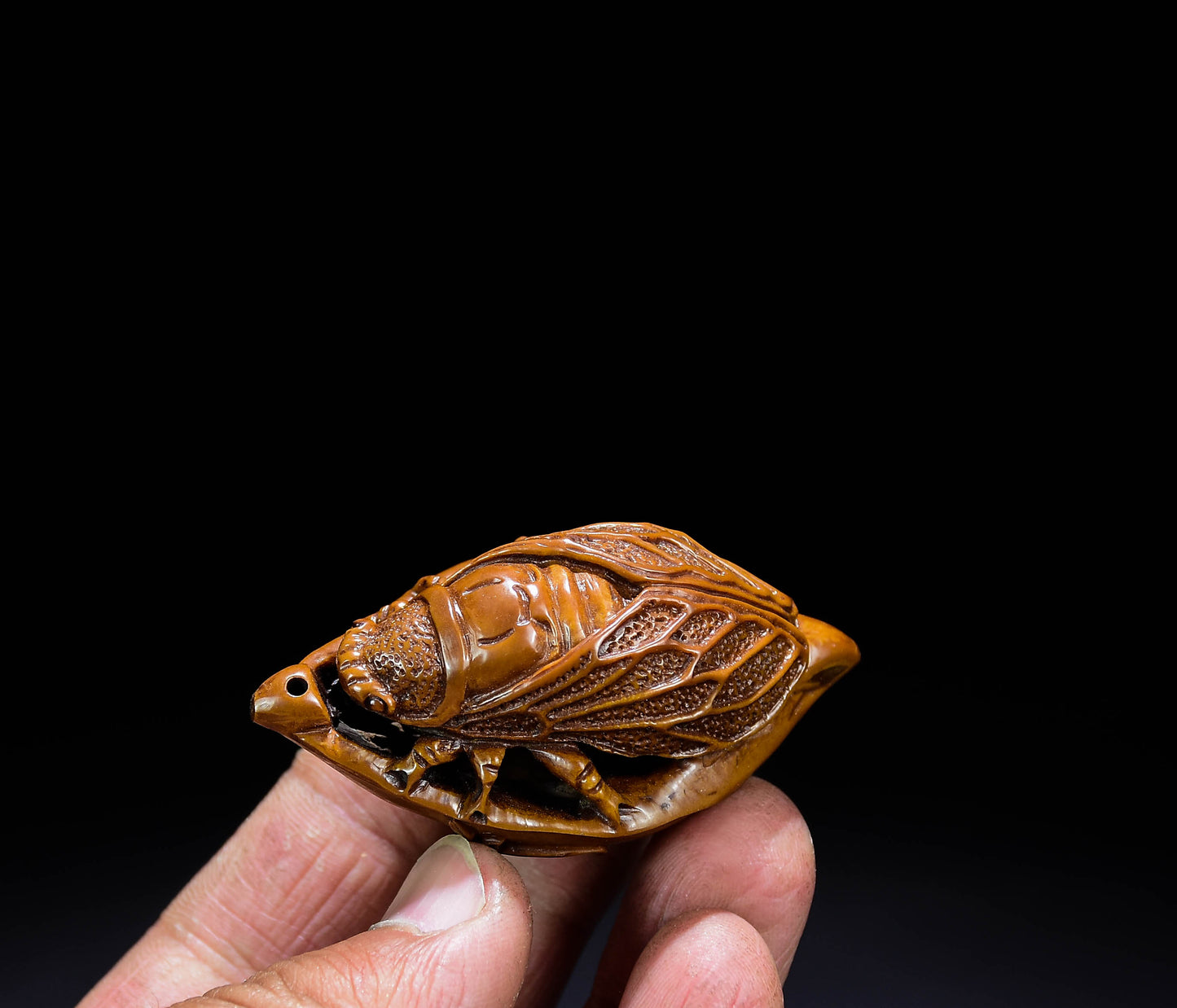 A0292 Chinese Olive Nut Carved Cicada & Leaf Pendant