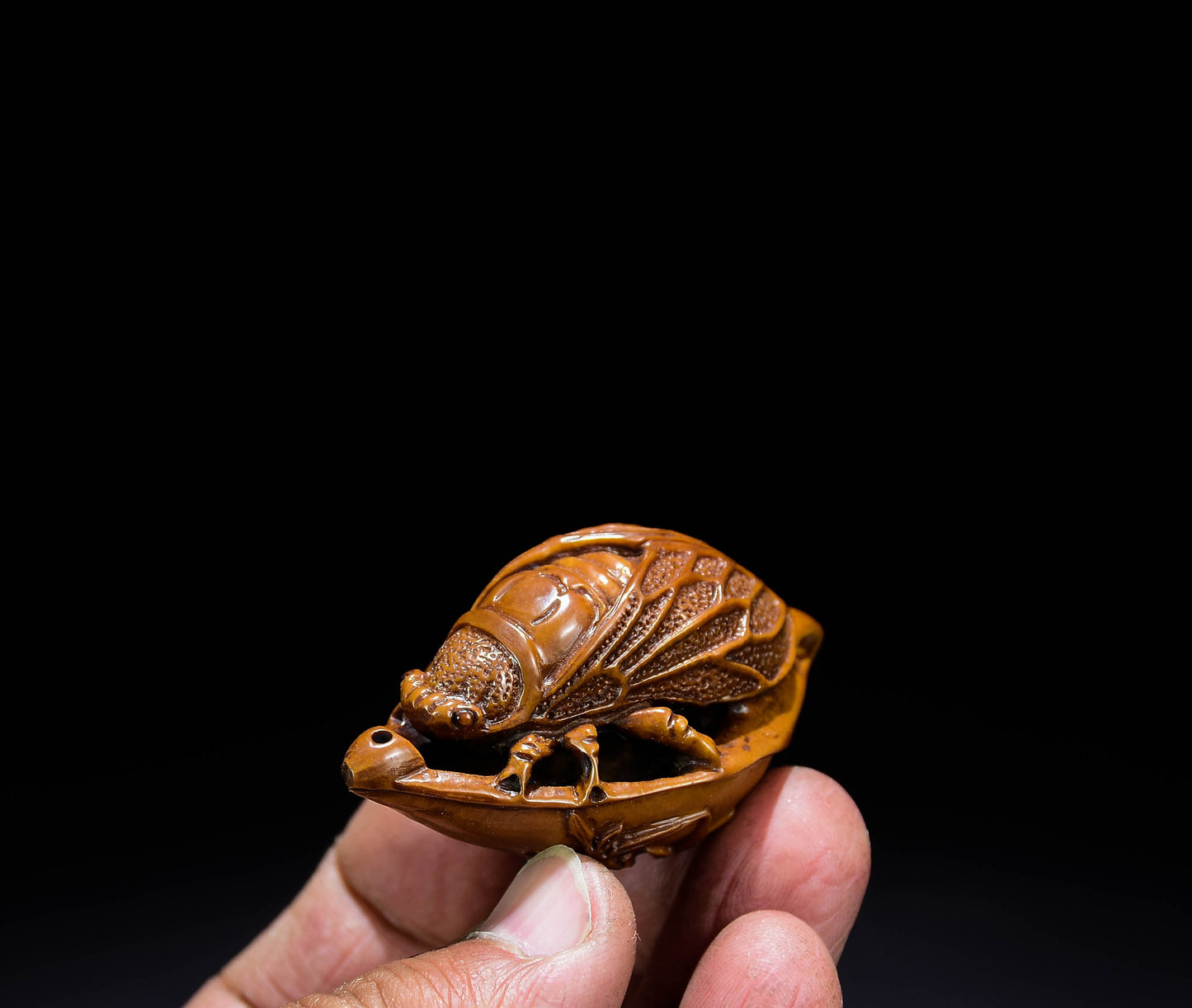 A0292 Chinese Olive Nut Carved Cicada & Leaf Pendant