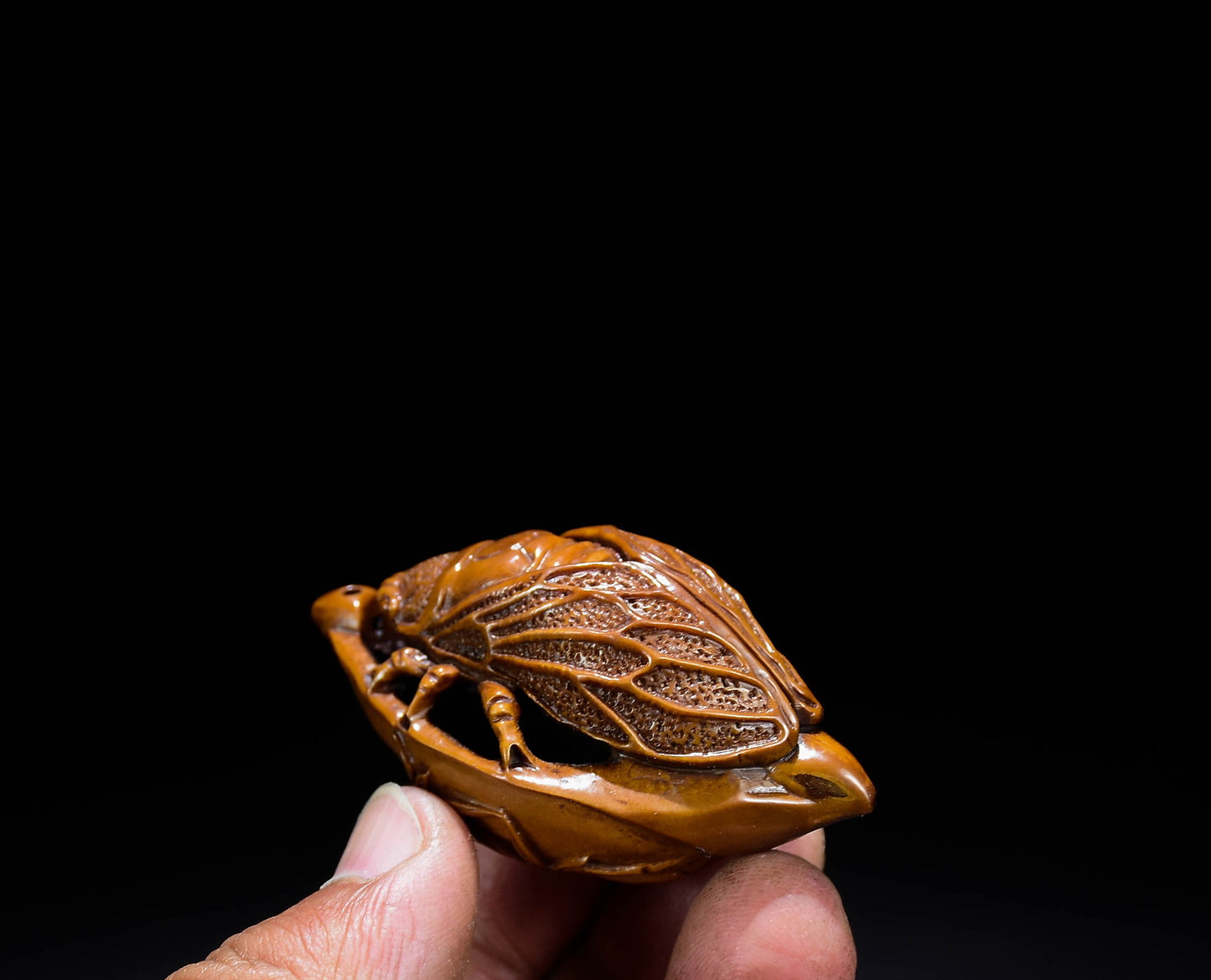 A0292 Chinese Olive Nut Carved Cicada & Leaf Pendant