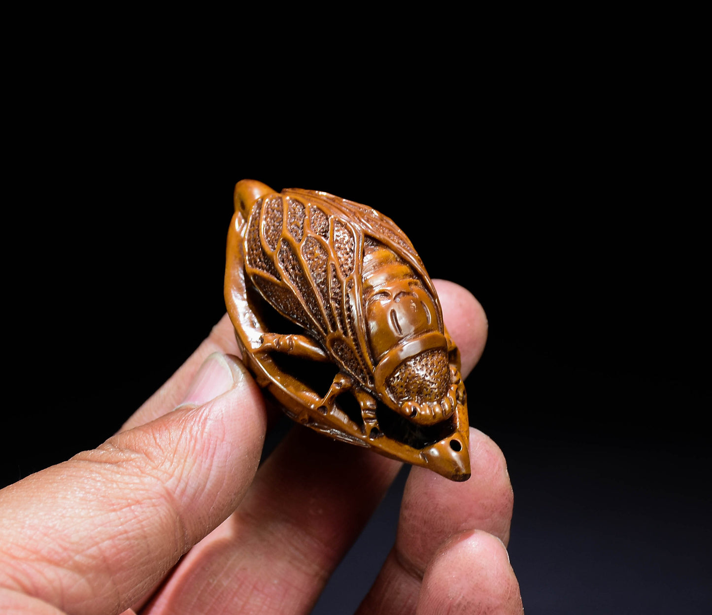 A0292 Chinese Olive Nut Carved Cicada & Leaf Pendant