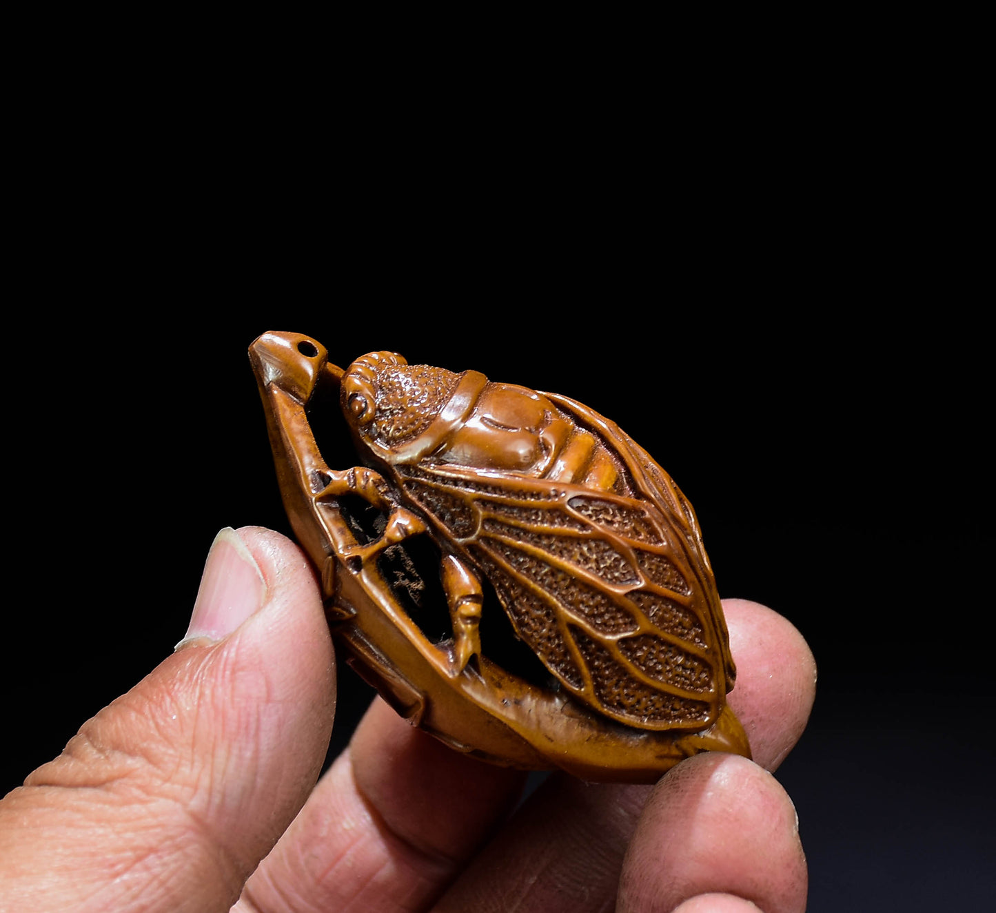 A0292 Chinese Olive Nut Carved Cicada & Leaf Pendant